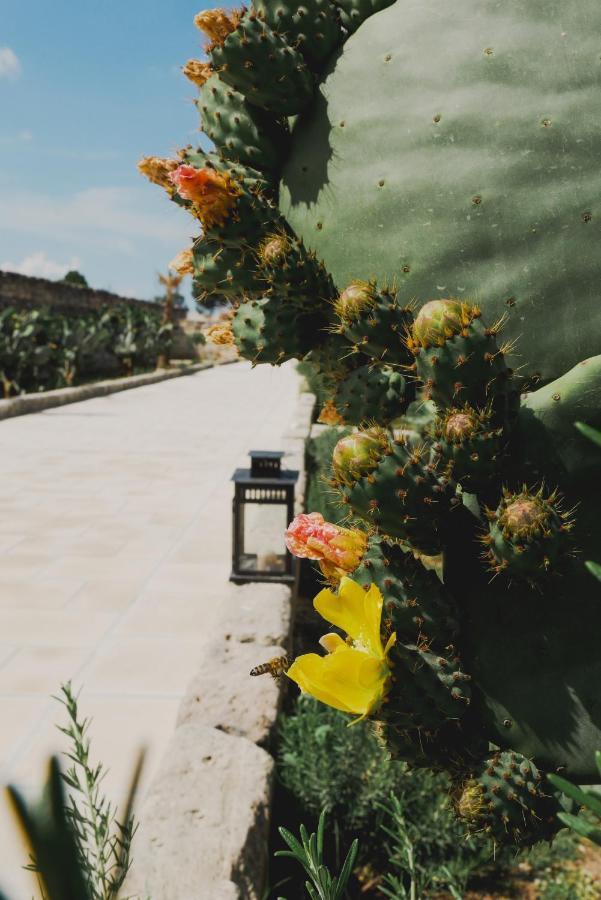 Masseria Paralupi Bed and Breakfast Λέτσε Εξωτερικό φωτογραφία